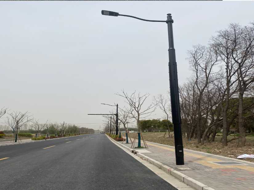 阿荣旗上海综合杆 太阳能路灯工程